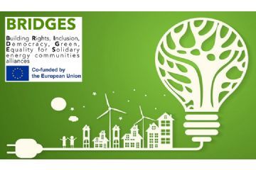 Logo progetto BRIDDES, lamapdina su sfondo verde