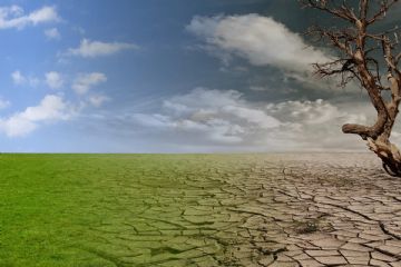 Segnalazioni danni alle produzioni agricole