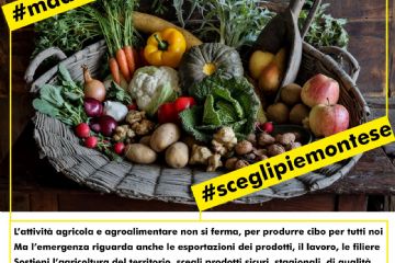stagionali, di qualità